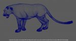 Black Panther 3D Model Online | Animal 3D Model Online