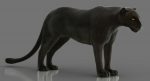 Black Panther 3D Model Online | Animal 3D Model Online
