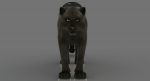 Black Panther 3D Model Online | Animal 3D Model Online