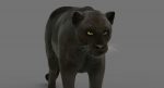 Black Panther 3D Model Online | Animal 3D Model Online