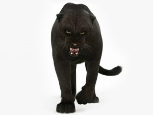 Black Panther 3D Model Online | Animal 3D Model Online