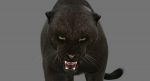 Black Panther 3D Model Online | Animal 3D Model Online