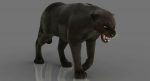 Black Panther 3D Model Online | Animal 3D Model Online