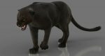 Black Panther 3D Model Online | Animal 3D Model Online