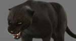 Black Panther 3D Model Online | Animal 3D Model Online