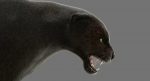 Black Panther 3D Model Online | Animal 3D Model Online