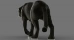 Black Panther 3D Model Online | Animal 3D Model Online