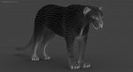Black Panther 3D Model Online | Animal 3D Model Online