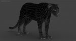Black Panther 3D Model Online | Animal 3D Model Online