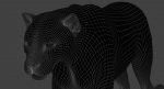 Black Panther 3D Model Online | Animal 3D Model Online