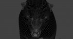 Black Panther 3D Model Online | Animal 3D Model Online