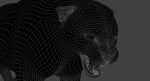 Black Panther 3D Model Online | Animal 3D Model Online