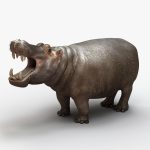 Hippopotamus 3D Model Online | Animal 3D Model Online