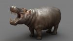Hippopotamus 3D Model Online | Animal 3D Model Online