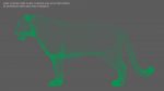 Tiger 3D Model Online | Animal 3D Model Online