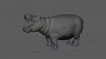 Hippopotamus 3D Model Online | Animal 3D Model Online