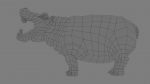 Hippopotamus 3D Model Online | Animal 3D Model Online