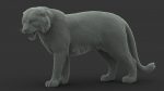 Tiger 3D Model Online | Animal 3D Model Online