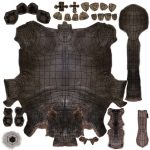 Hippopotamus 3D Model Online | Animal 3D Model Online