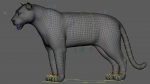 Tiger 3D Model Online | Animal 3D Model Online