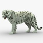 White Tiger 3D Model Online | Animal 3D Model Online