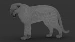 Tiger 3D Model Online | Animal 3D Model Online