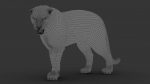 Tiger 3D Model Online | Animal 3D Model Online