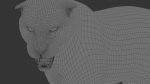 Tiger 3D Model Online | Animal 3D Model Online