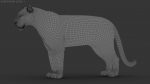 Tiger 3D Model Online | Animal 3D Model Online