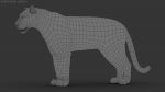 Tiger 3D Model Online | Animal 3D Model Online