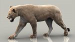 Lion 3D Model Online | Animal 3D Model Online