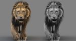 Lion 3D Model Online | Animal 3D Model Online