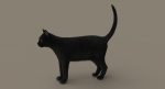 Black Cat 3D Model Online | Animal 3D Model Online