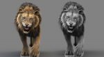 Lion 3D Model Online | Animal 3D Model Online
