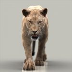 Lion 3D Model Online | Animal 3D Model Online