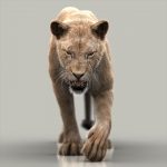 Lion 3D Model Online | Animal 3D Model Online