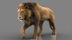 Lion 3D Model Online | Animal 3D Model Online
