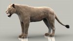 Lion 3D Model Online | Animal 3D Model Online