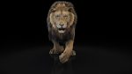 Lion 3D Model Online | Buy Animal 3D Model Online