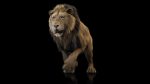 Lion 3D Model Online | Buy Animal 3D Model Online