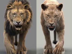 Black Cat 3D Model Online | Animal 3D Model Online