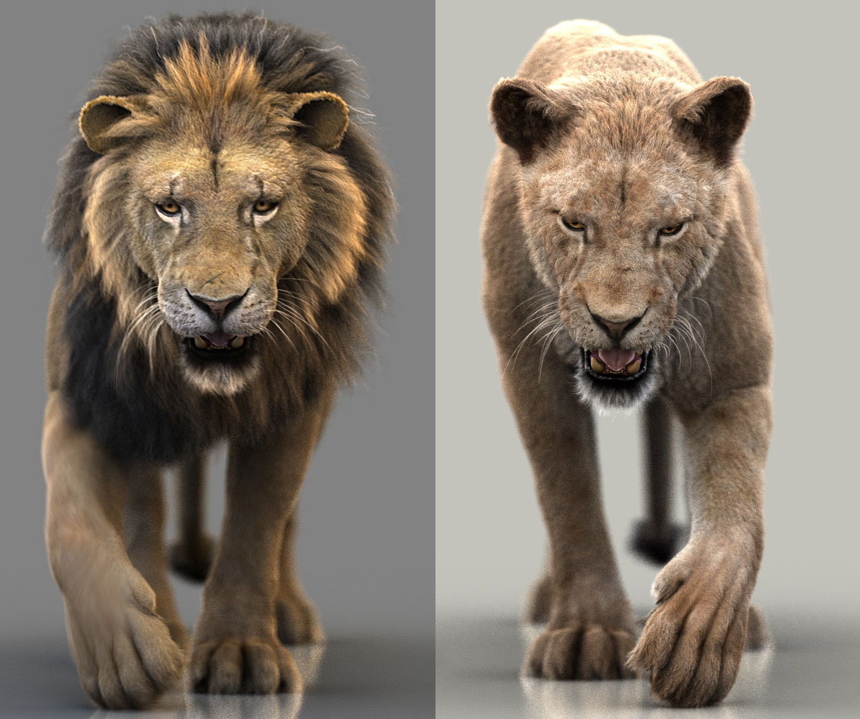 Black Cat 3D Model Online | Animal 3D Model Online