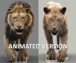 Black Cat 3D Model Online | Animal 3D Model Online