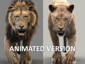 Black Cat 3D Model Online | Animal 3D Model Online