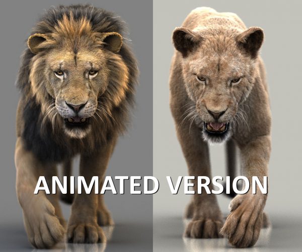 Black Cat 3D Model Online | Animal 3D Model Online