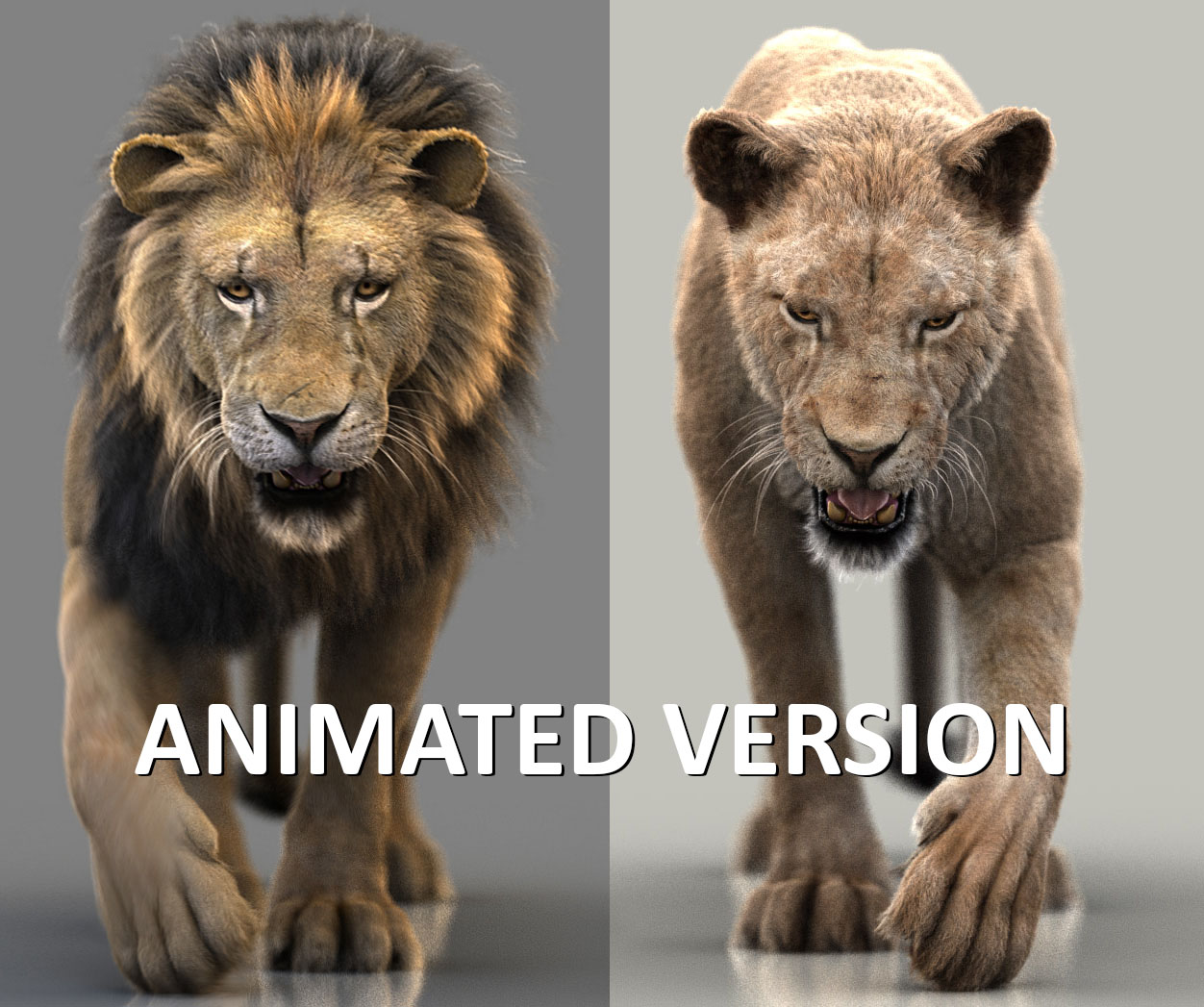 Black Cat 3D Model Online | Animal 3D Model Online