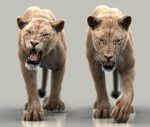 Lion 3D Model Online | Animal 3D Model Online