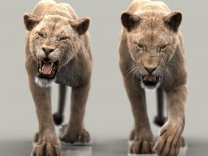 Lion 3D Model Online | Animal 3D Model Online