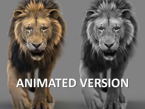 Lion 3D Model Online | Animal 3D Model Online