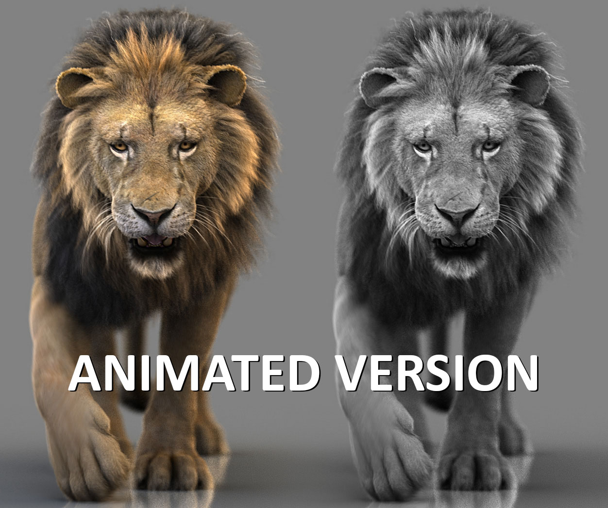 Lion 3D Model Online | Animal 3D Model Online